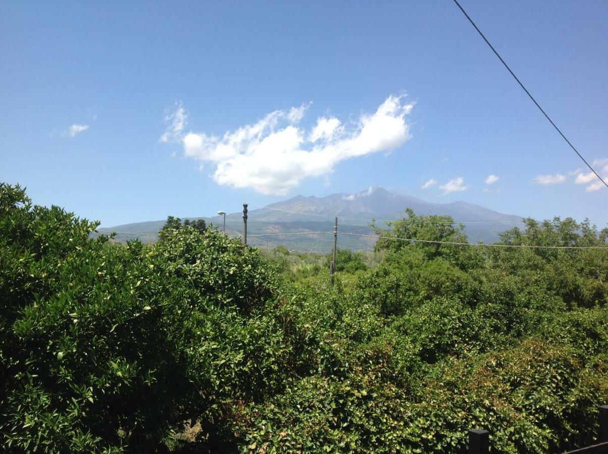 Casa Riolo Διαμέρισμα Acireale Εξωτερικό φωτογραφία