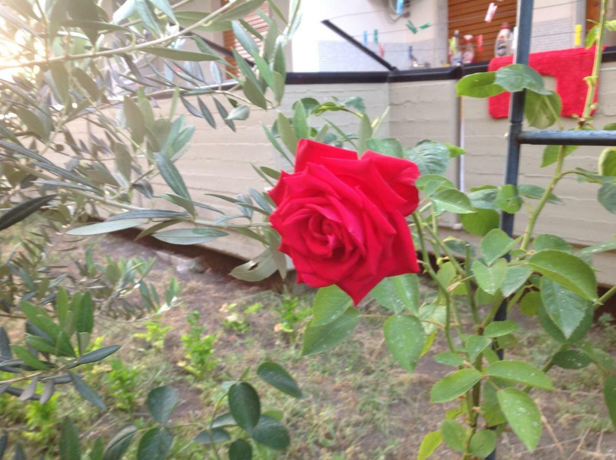 Casa Riolo Διαμέρισμα Acireale Εξωτερικό φωτογραφία
